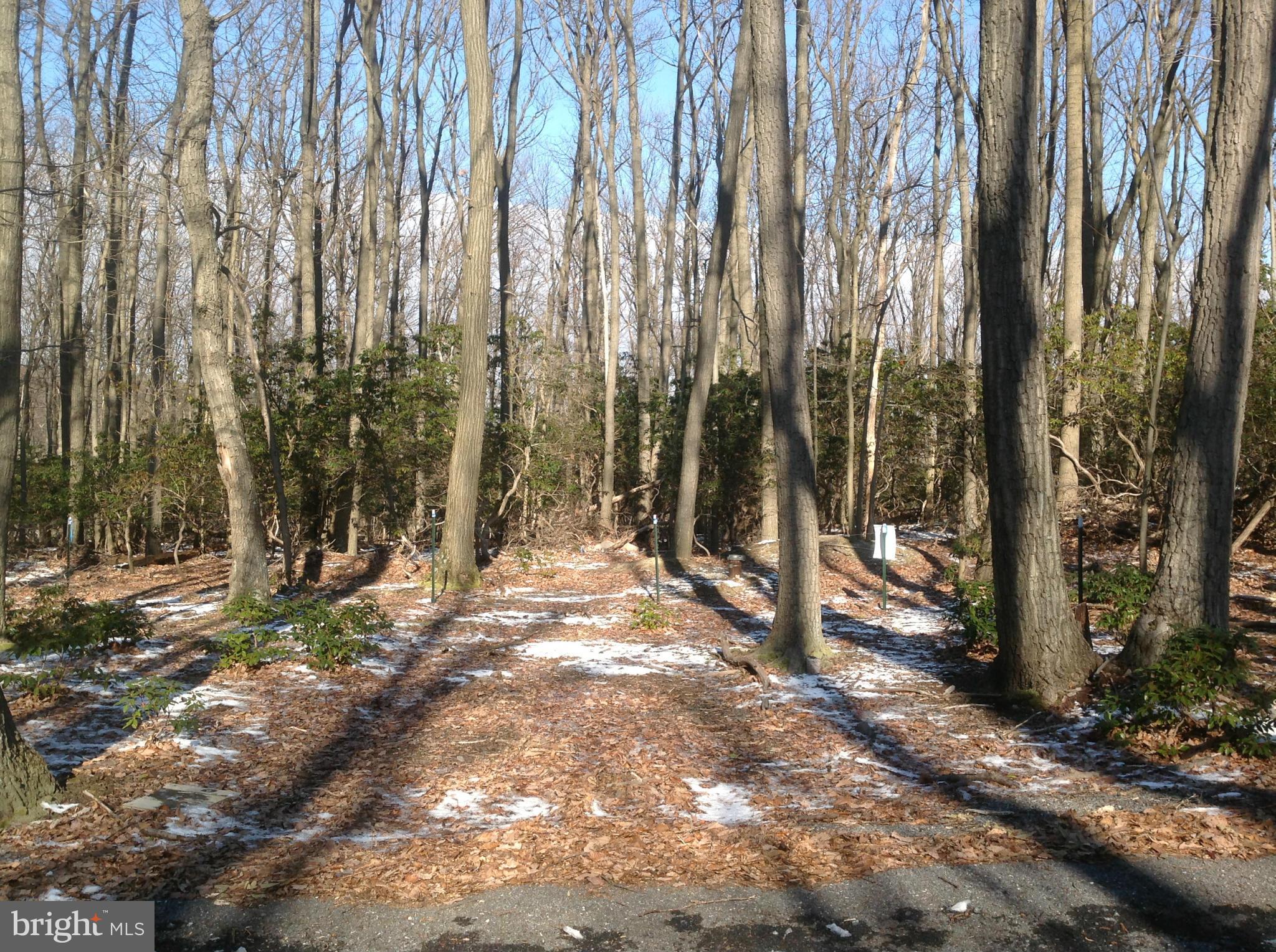 5250 Jackson Mountain Road Frederick, MD 21702 - Photo 26 of 30 View