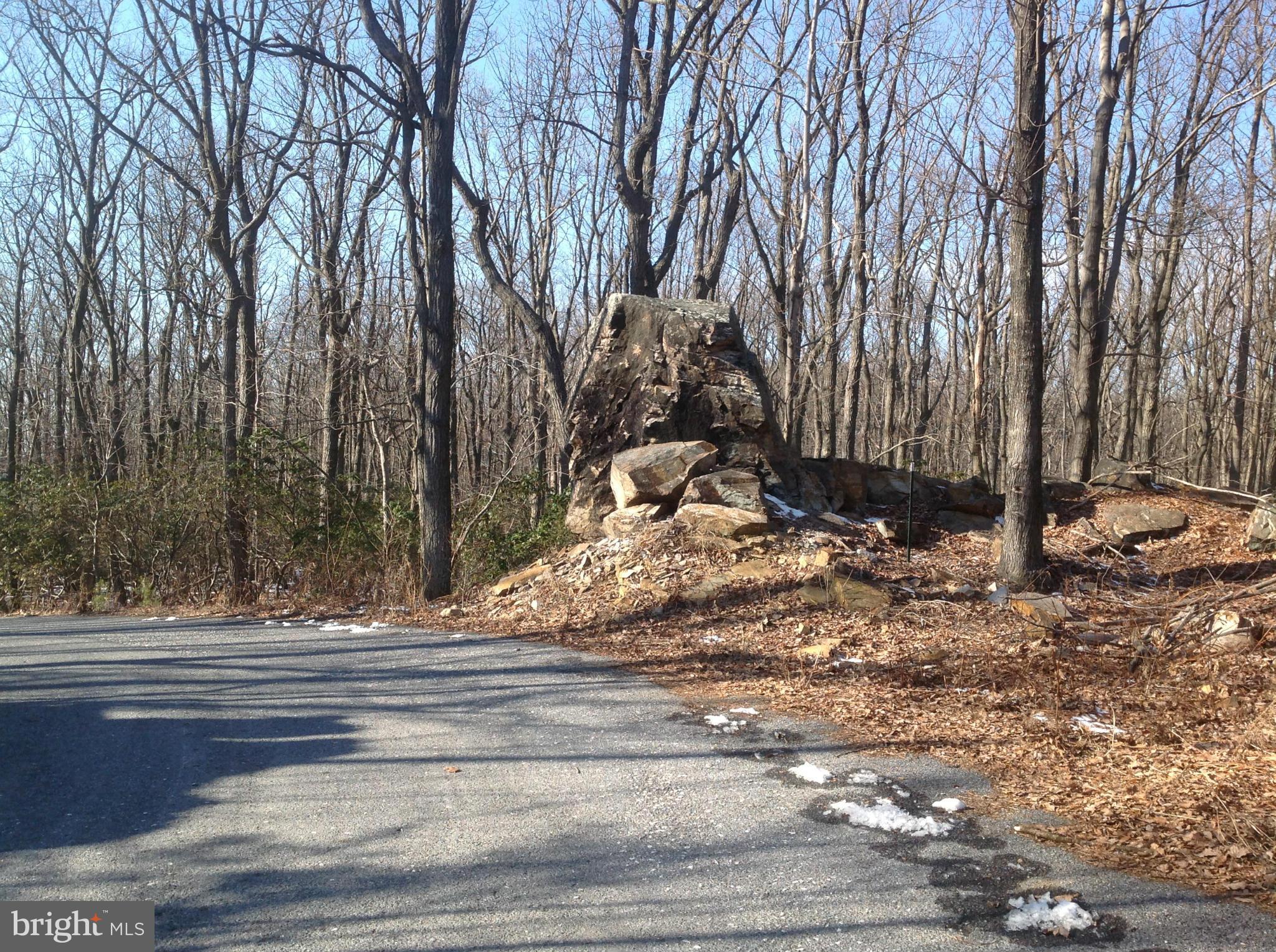 5250 Jackson Mountain Road Frederick, MD 21702 - Photo 30 of 30 View