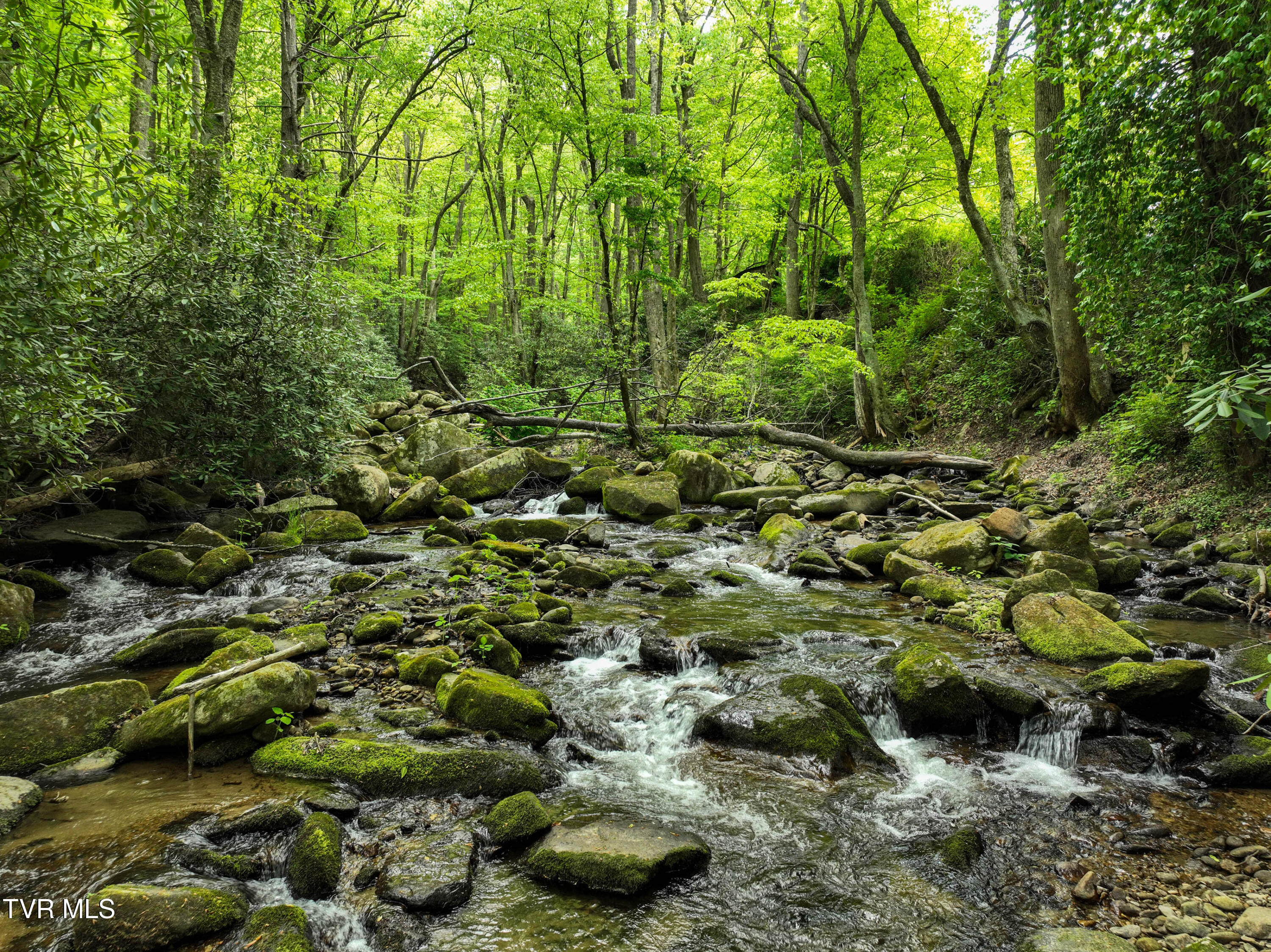 275 Tiger Creek Road Roan Mountain, TN 37687 - Photo 87 of 104 275 Tiger Creek Rd Drone WALLACE-34