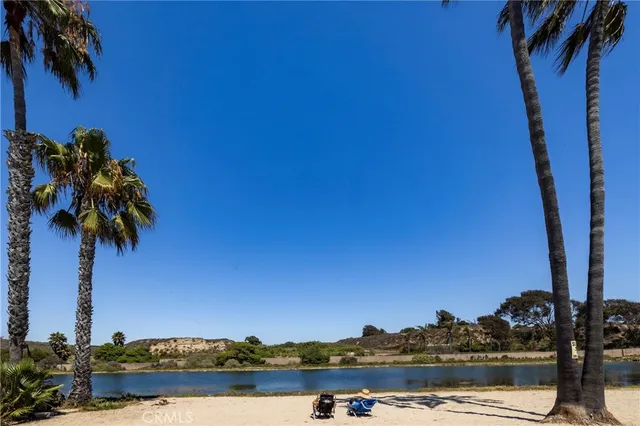 a view of a swimming pool with a lawn chairs and palm tree