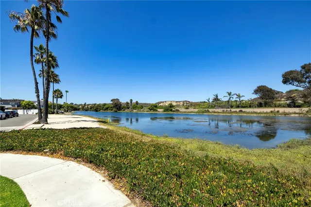 a view of a park with large trees