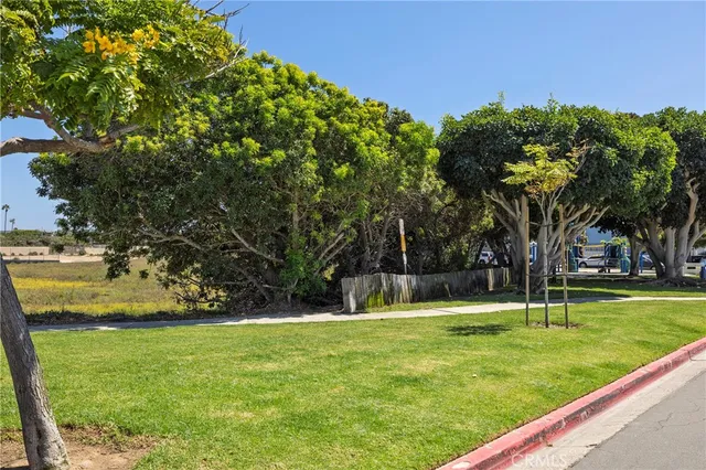 a view of a park with large trees