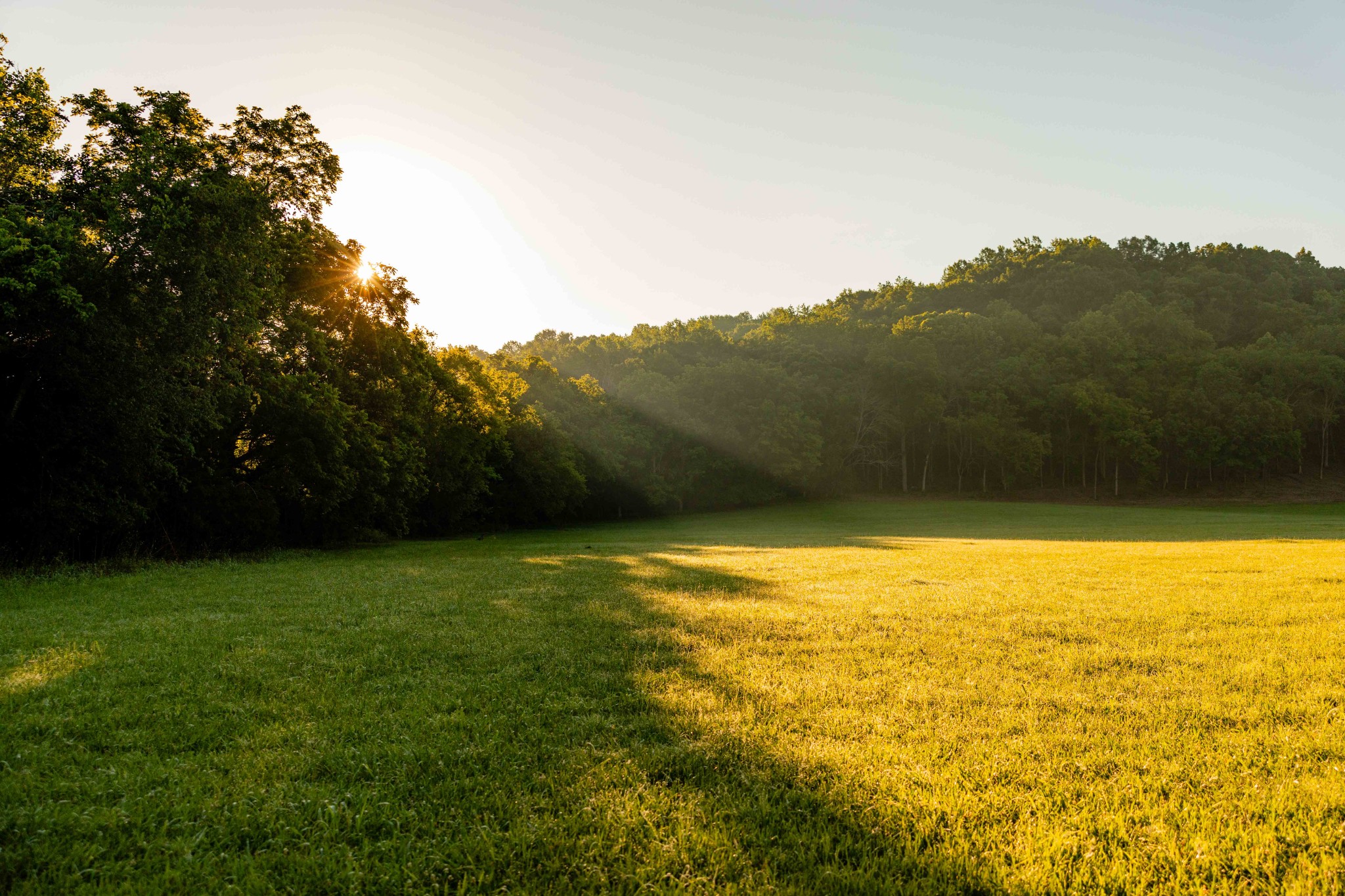 0 Robinson Road Franklin, TN 37064 - Photo 15 of 28