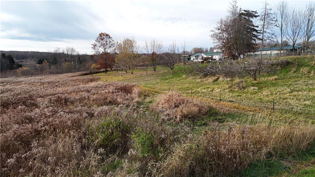 0 Wilson Road North East, PA 16428 - Photo 8 of 12 a view of a yard