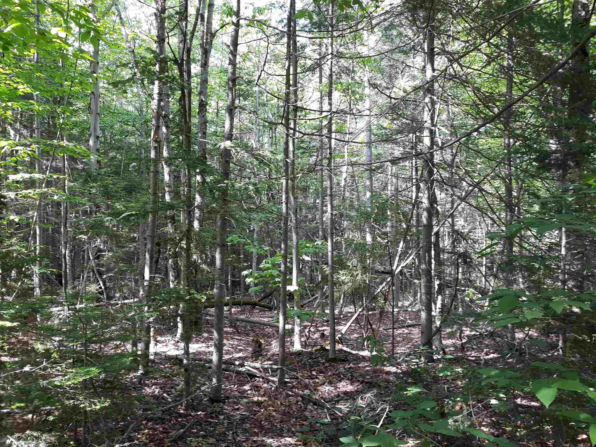 0 Oberdorf Road, Unit 184 Readsboro, VT 05350 - Photo 1 of 6 Gallery Image 1