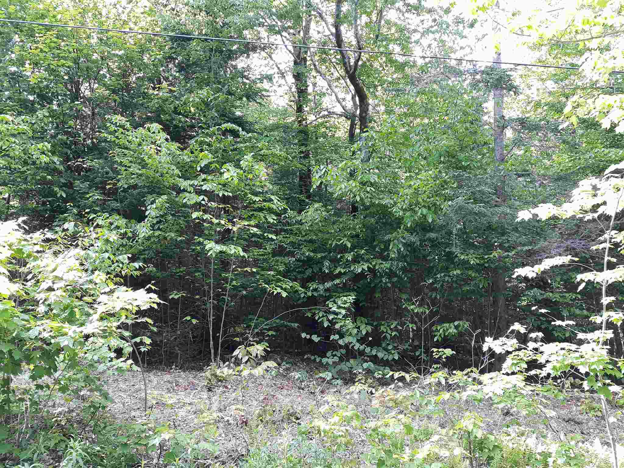 0 Oberdorf Road, Unit 184 Readsboro, VT 05350 - Photo 4 of 6 Gallery Image 4