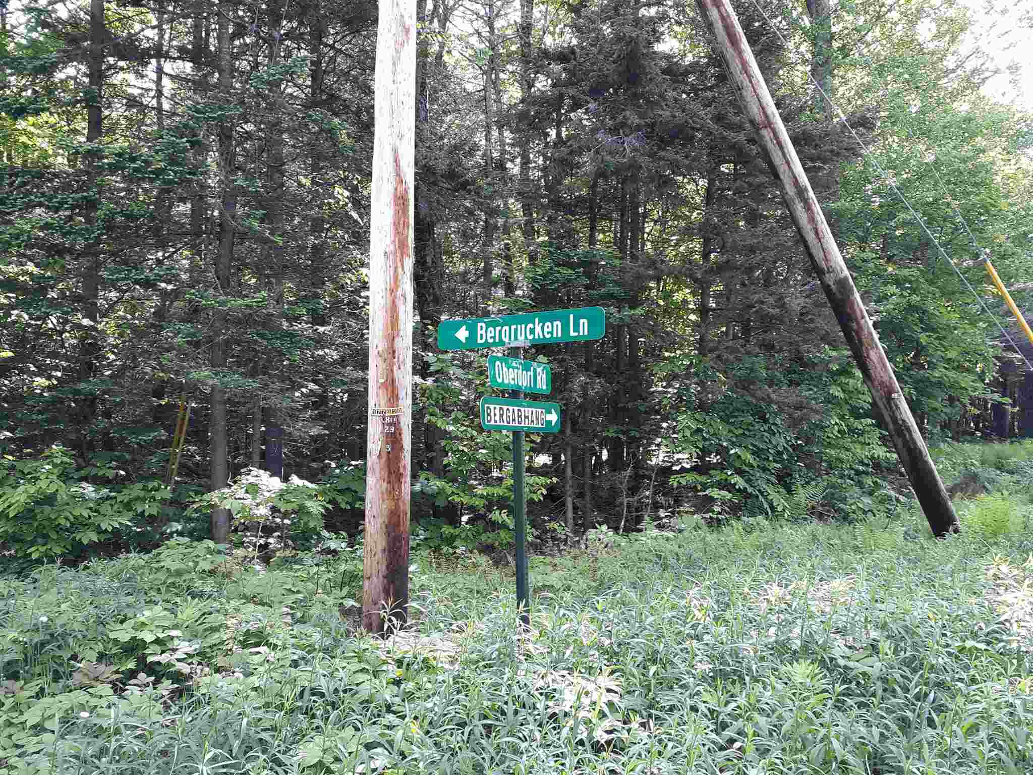0 Oberdorf Road, Unit 184 Readsboro, VT 05350 - Photo 6 of 6 Gallery Image 6