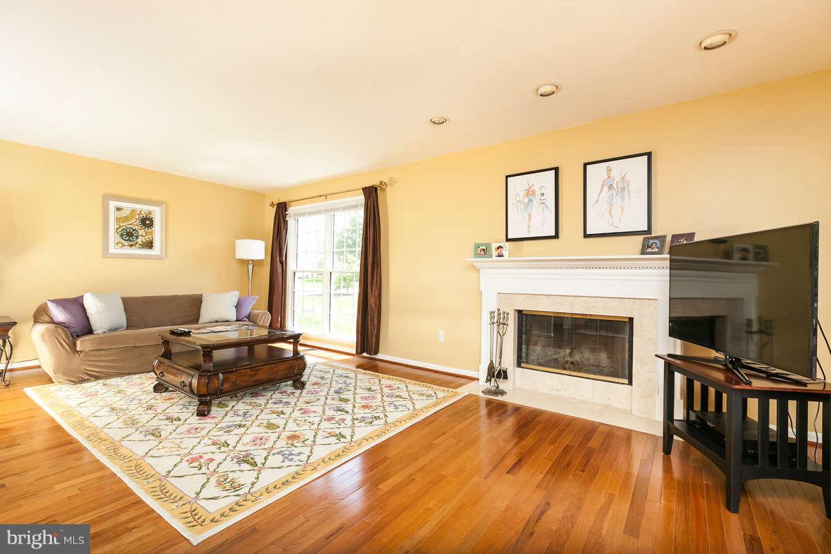 8596 Trail View Drive Ellicott City, MD 21043 - Photo 12 of 29 a living room with furniture and a fireplace