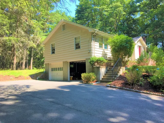 a view of a yard with plants and large trees