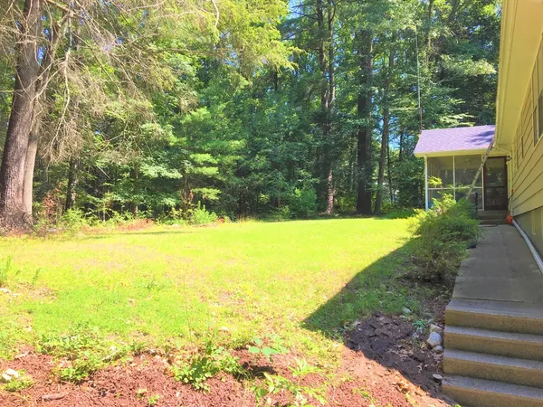 a view of a backyard