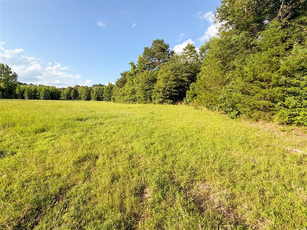 9822 Nasturtium Road Ore City, TX 75683 - Photo 12 of 30