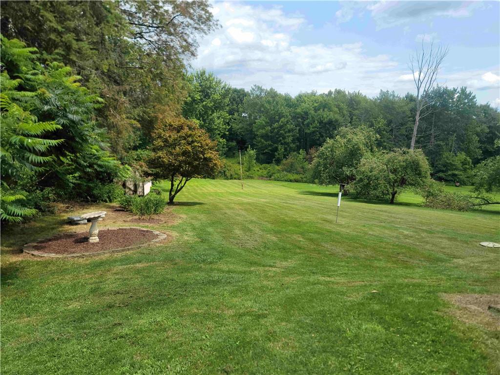 3719 Hollow Road New Castle, PA 16101 - Photo 4 of 28 Gallery Image 4
