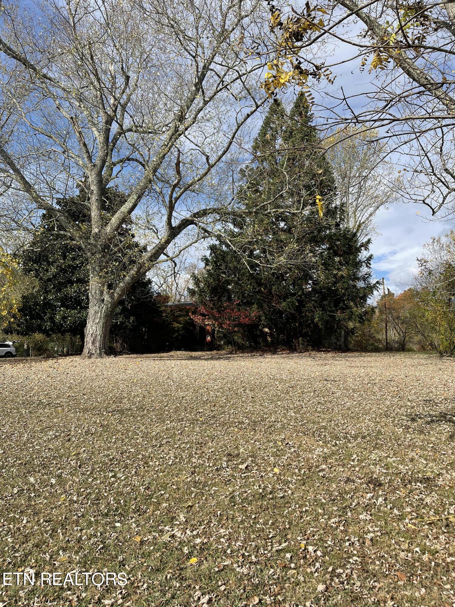 138 Peach Orchard Road Clinton, TN 37716 - Photo 36 of 43 2E1311DE-BDF7-4C28-A4DE-72255A857A38