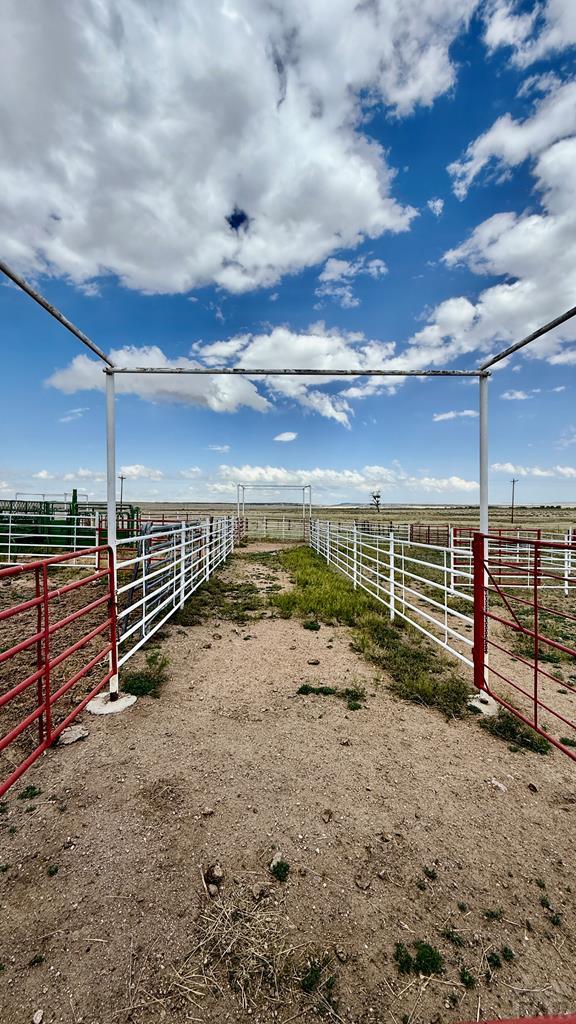 445 County Road 660 Rye, CO 81069 - Photo 37 of 47