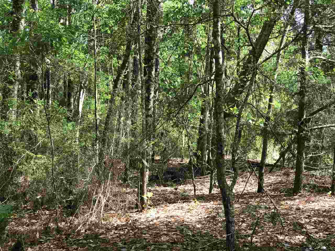 0 Boynton Road Elberta, AL 36530 - Photo 15 of 29