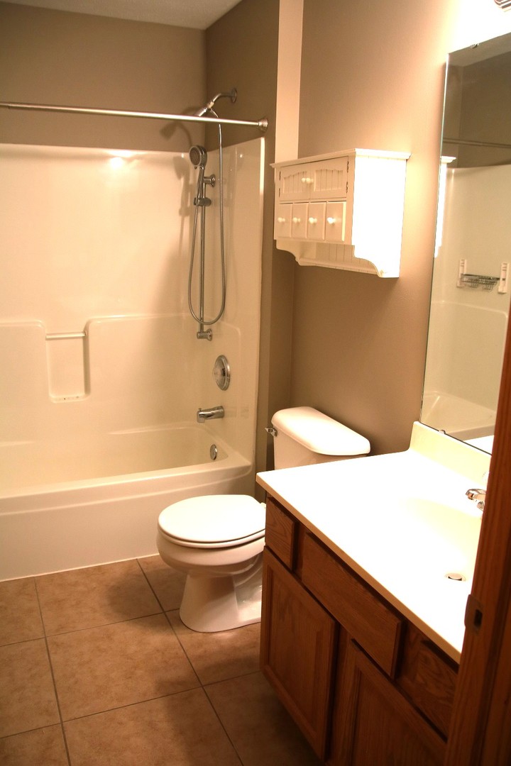 957 Arvle Circle, Unit 957 Sycamore, IL 60178 - Photo 13 of 17 a bathroom with a sink a toilet and shower