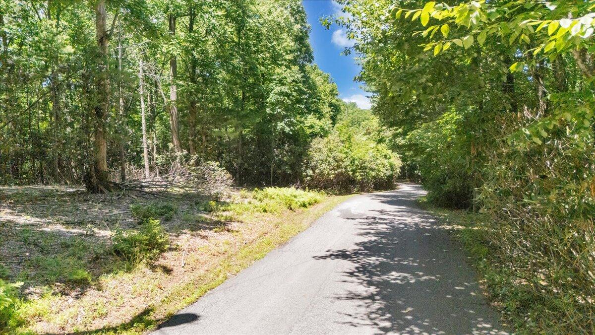 Tbd Dogwood Ridge Fancy Gap, VA 24328 - Photo 4 of 24 03-DJI_20260702131038_0003_D