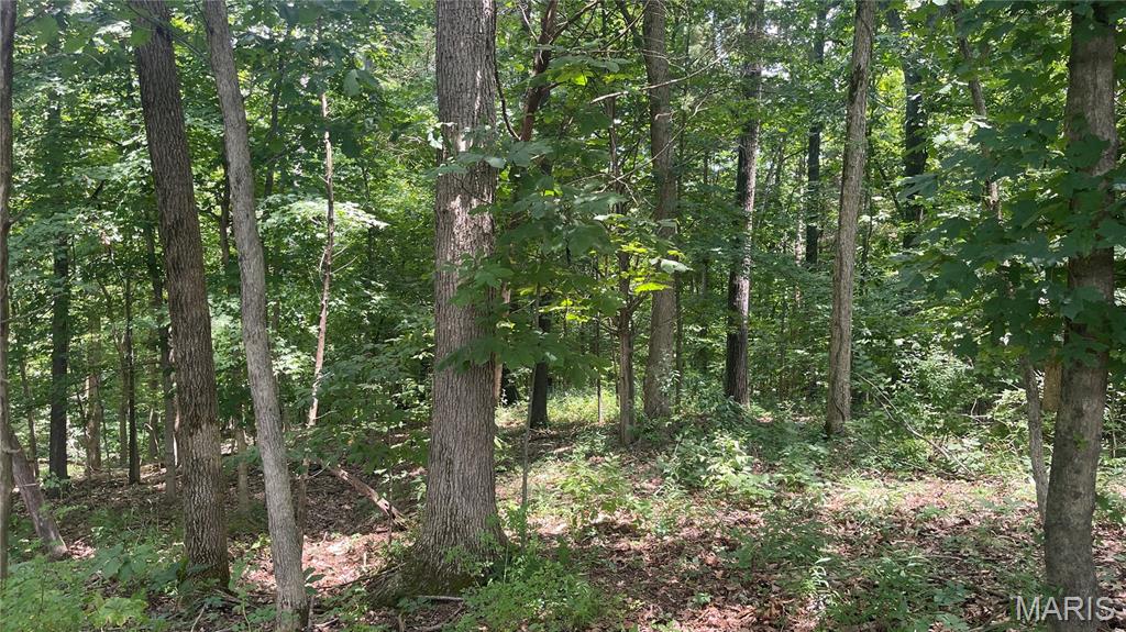 920 South Poplar Camp Road Makanda, IL 62958 - Photo 31 of 53