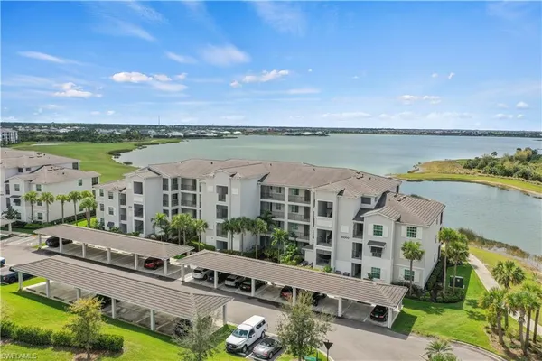a view of a city with lawn chairs and a large tree