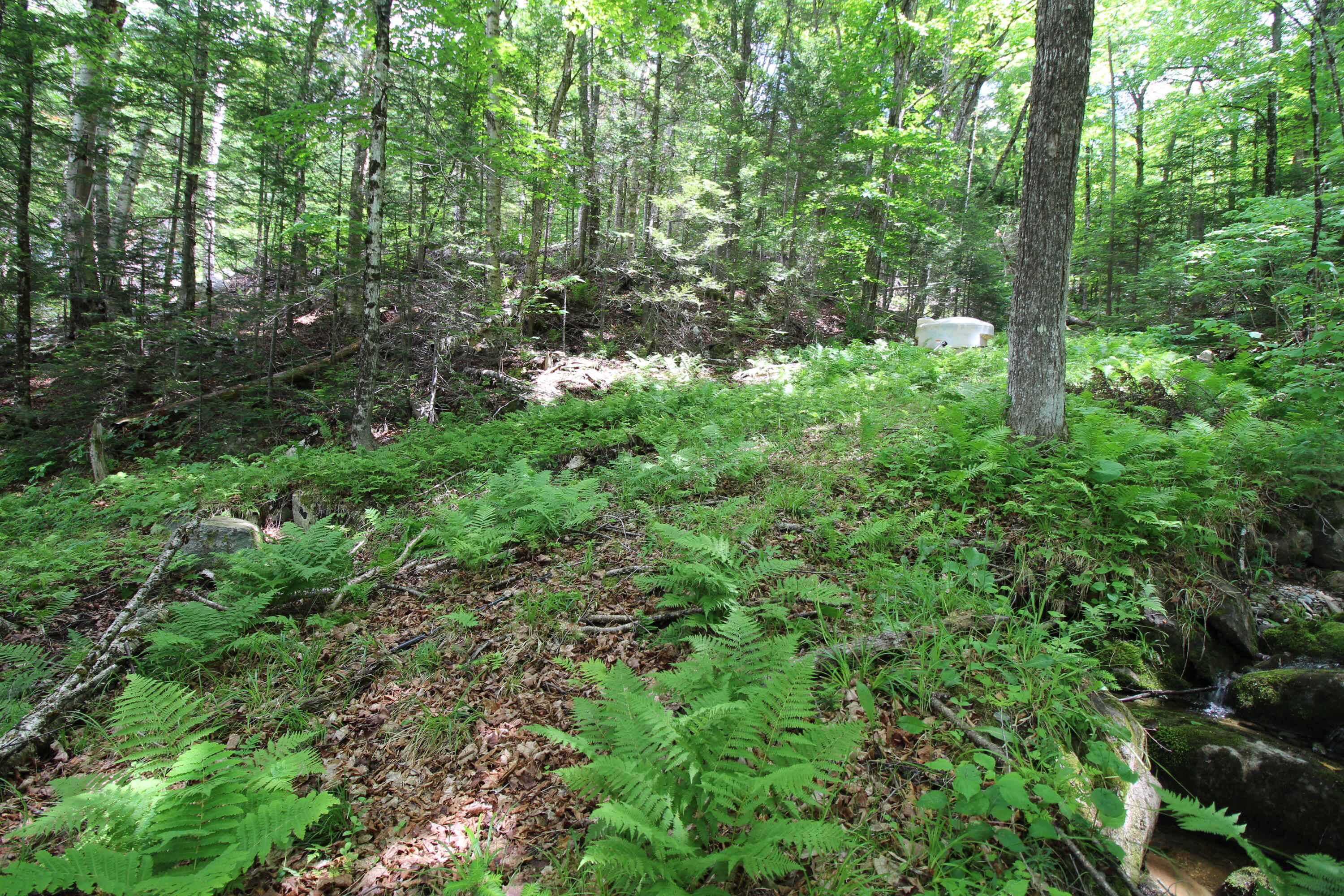 Lot 16.1 Alca Heights Road Oquossoc, ME 04964 - Photo 40 of 48 IMG_5841