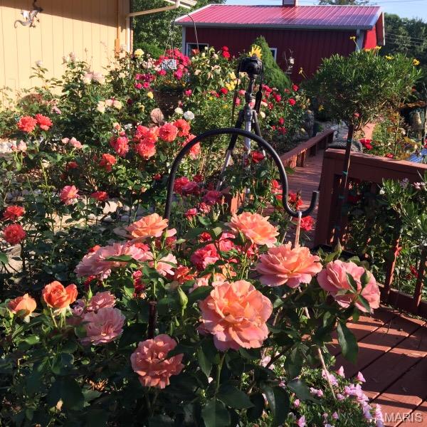 694 East 2735th Avenue Ramsey, IL 62080 - Photo 25 of 26