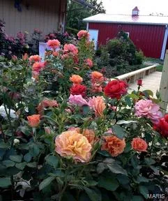 $275,000 | 694 East 2735th Avenue, Ramsey, IL 62080