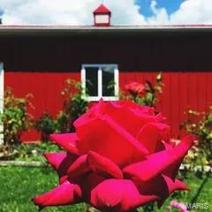 $275,000 | 694 East 2735th Avenue, Ramsey, IL 62080