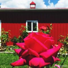 694 East 2735th Avenue Ramsey, IL 62080 - Photo 6 of 26