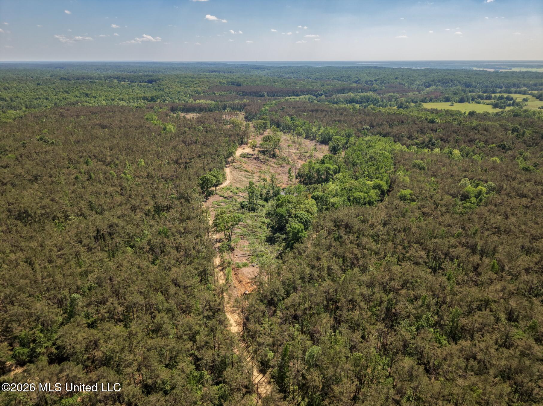 Shook Road Cascilla, MS 38920 - Photo 3 of 15 3