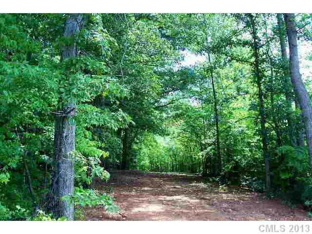 a view of backyard with green space