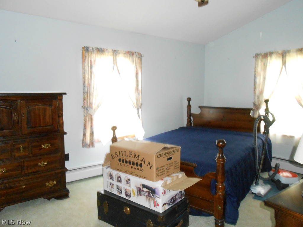 5696 Leon Road Andover, OH 44003 - Photo 5 of 25 Gallery Image 5