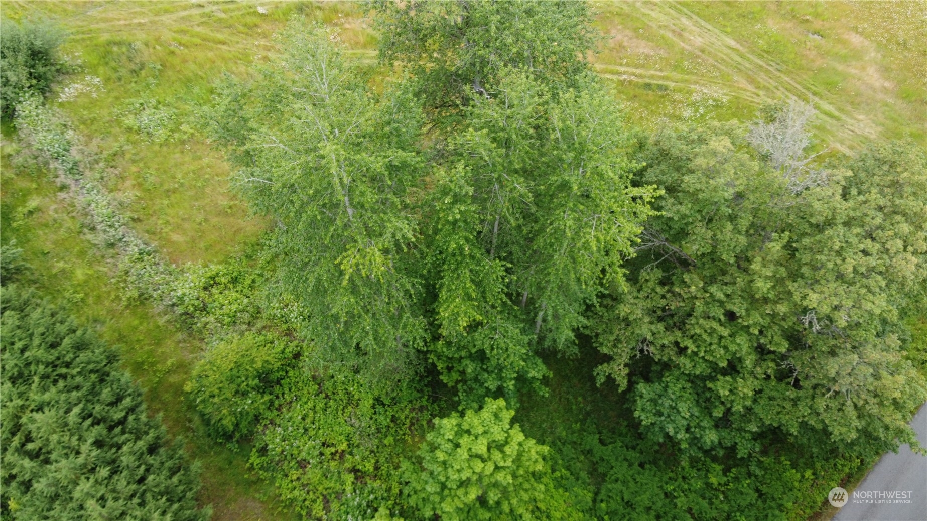 0 East Parrish Road Sequim, WA 98382 - Photo 15 of 27
