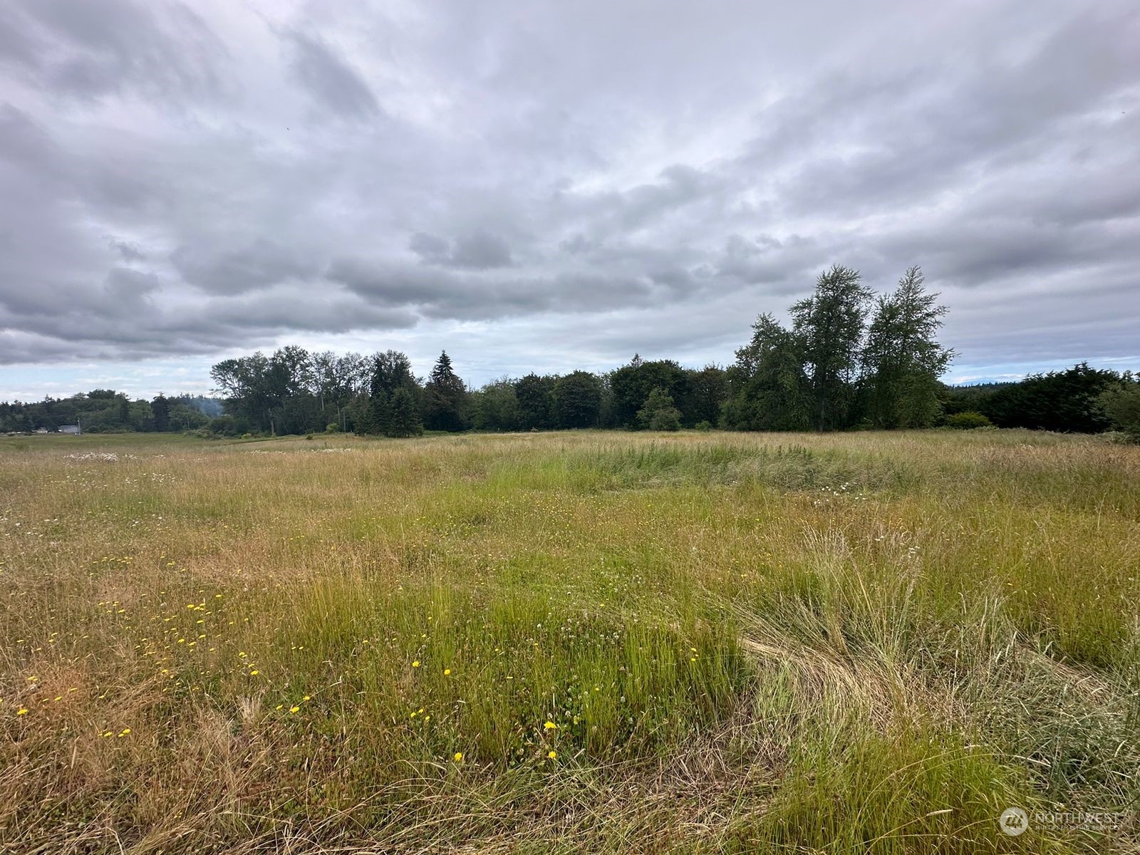 0 East Parrish Road Sequim, WA 98382 - Photo 18 of 27