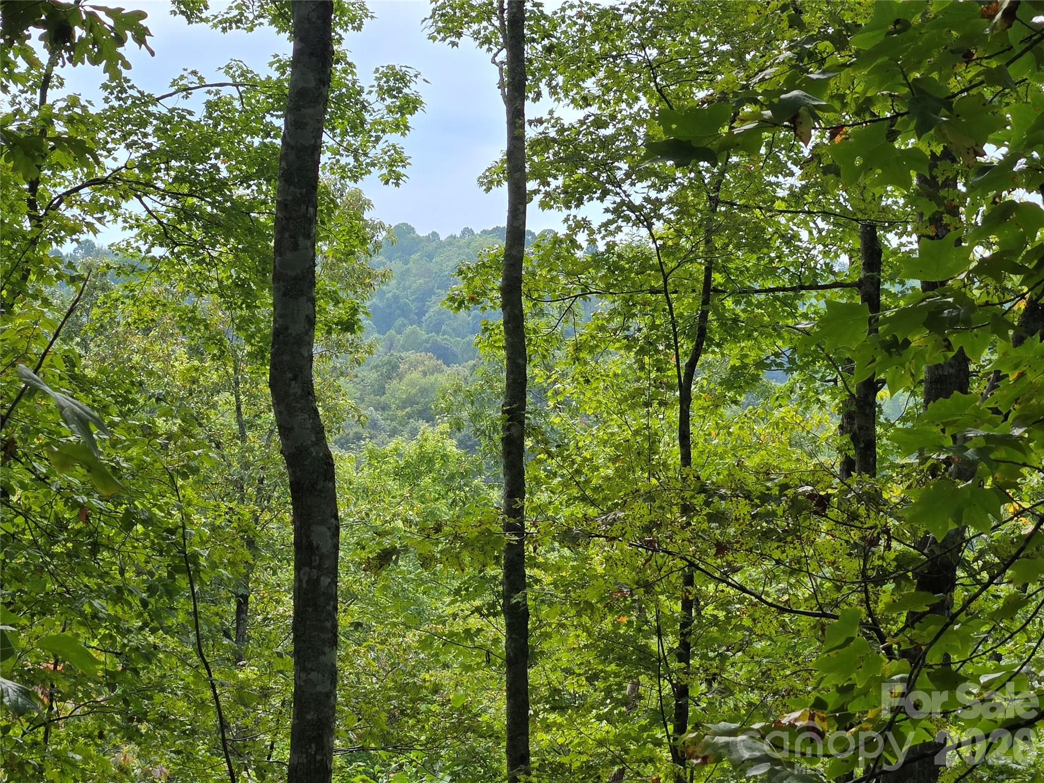 303 Ladd Ridge Road Rosman, NC 28772 - Photo 13 of 32 Gallery Image 13