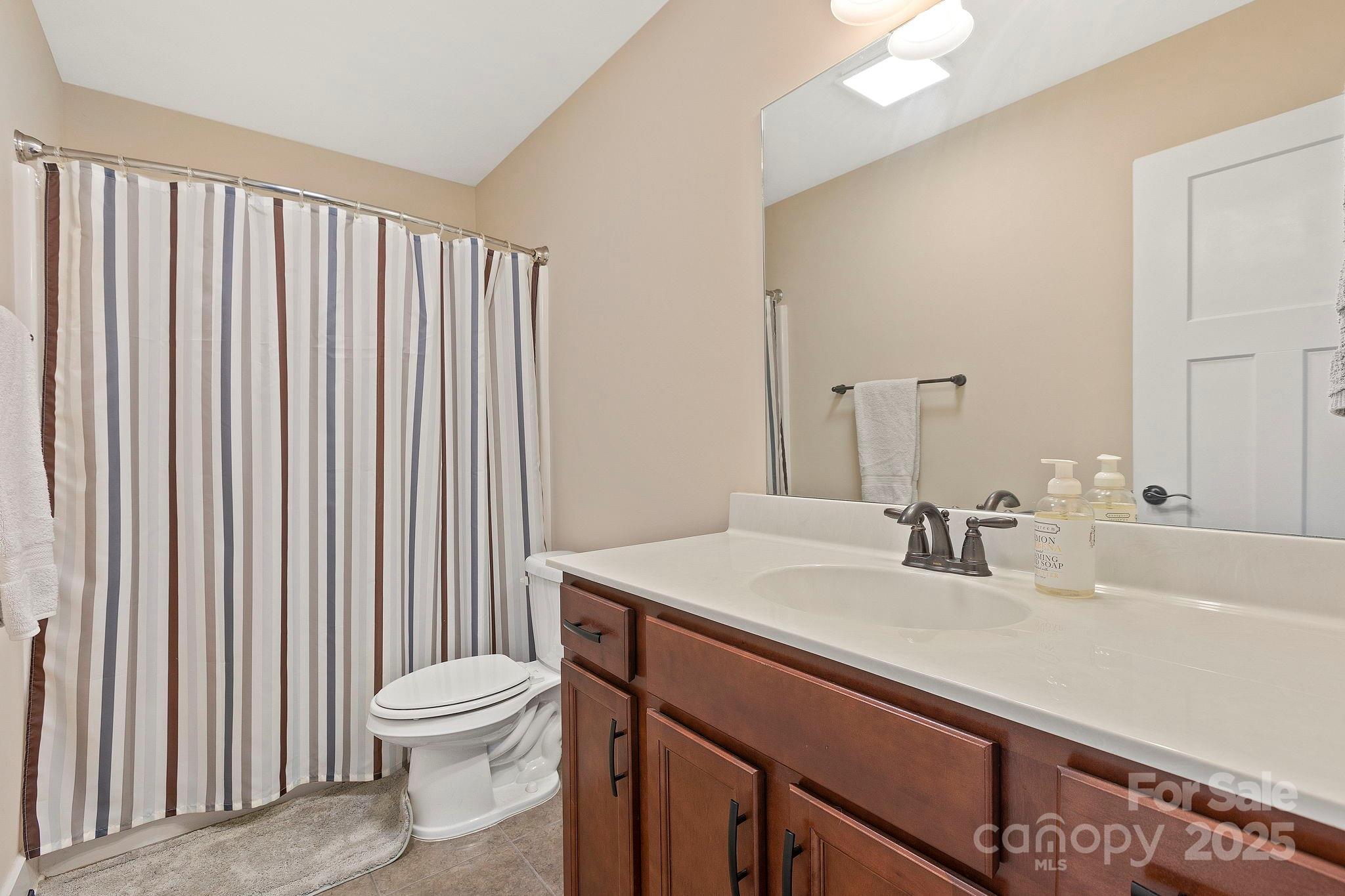 28 South River Road Fletcher, NC 28732 - Photo 33 of 47 a bathroom with a sink a toilet and mirror