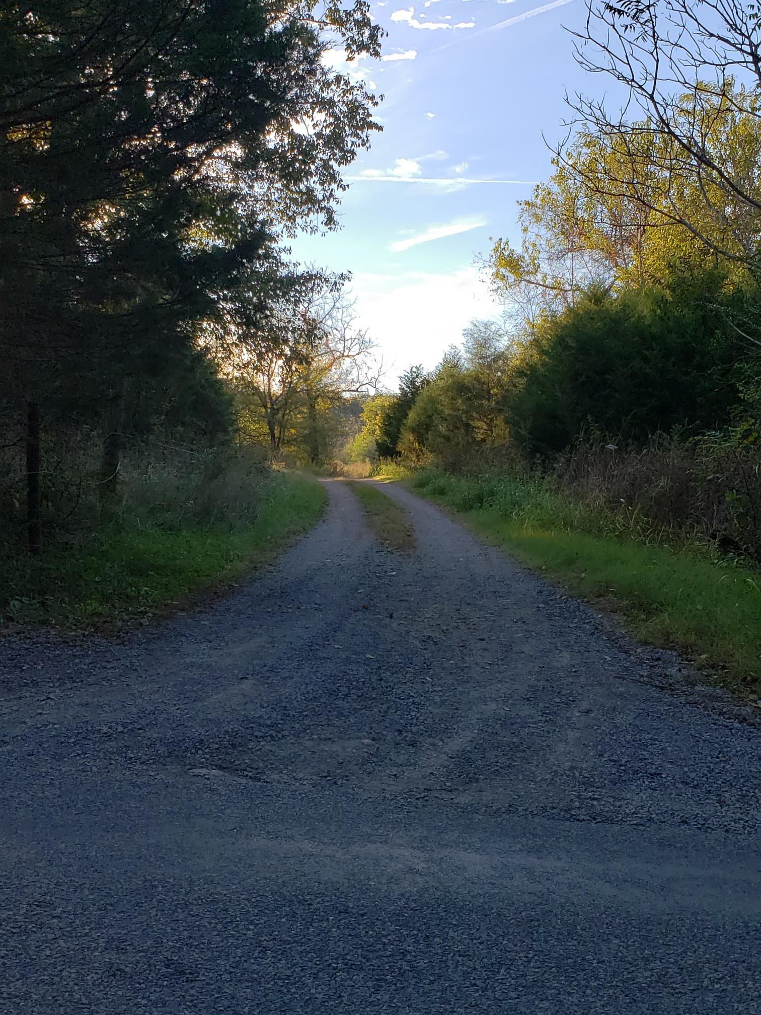 91 March Mill Road Fayetteville, TN 37334 - Photo 17 of 18 Entrance to your own piece of Country living