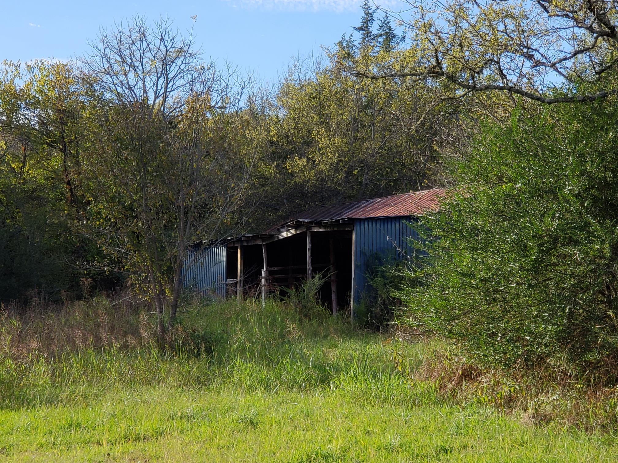 91 March Mill Road Fayetteville, TN 37334 - Photo 9 of 18 Livestock shed in back yard