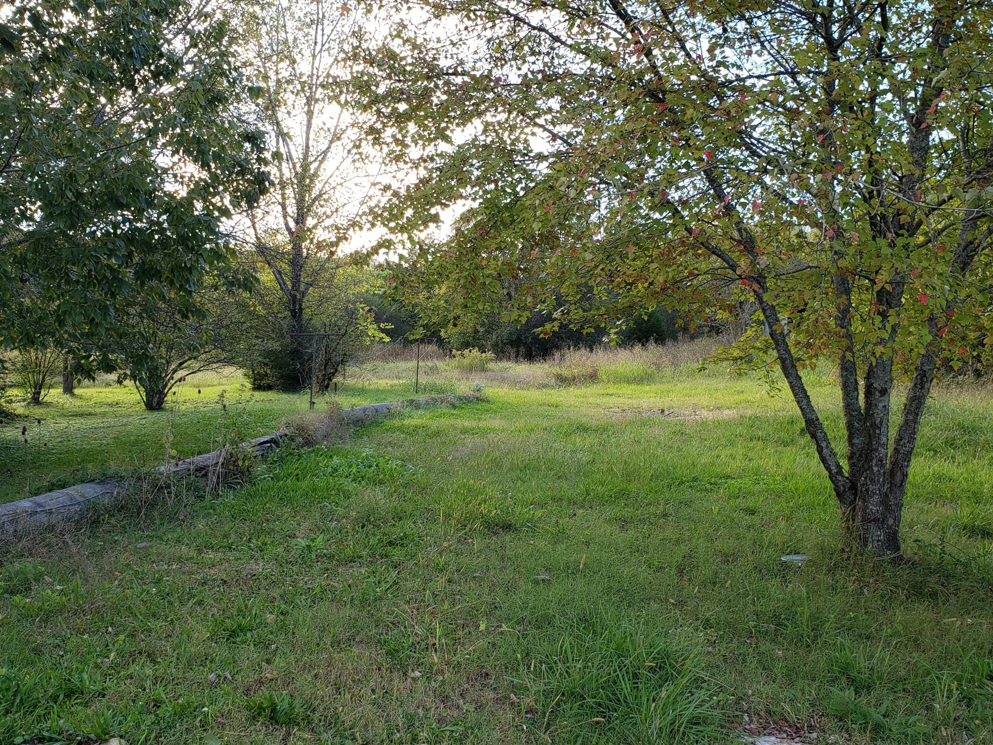 91 March Mill Road Fayetteville, TN 37334 - Photo 10 of 18 Backyard and Side yard view