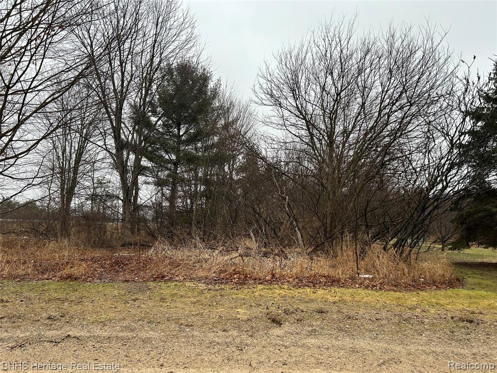 0 North Cedar Road Fowlerville, MI 48836 - Photo 1 of 2
