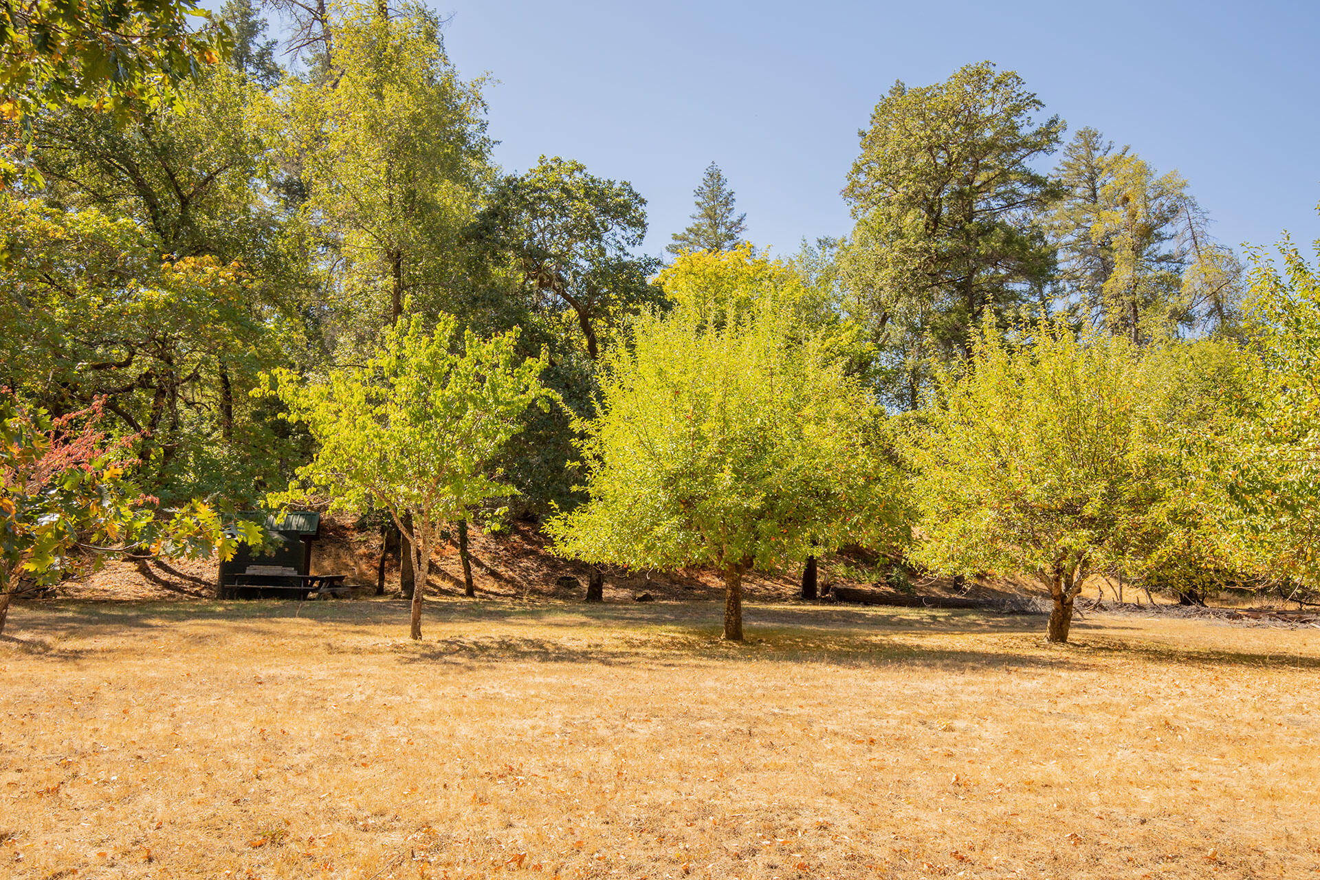 0 Bear Canyon Road Garberville, CA 95542 - Photo 69 of 107 SW__9675