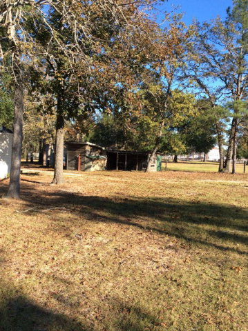 45 Sand Piper Road Barnwell, SC 29812 - Photo 7 of 32