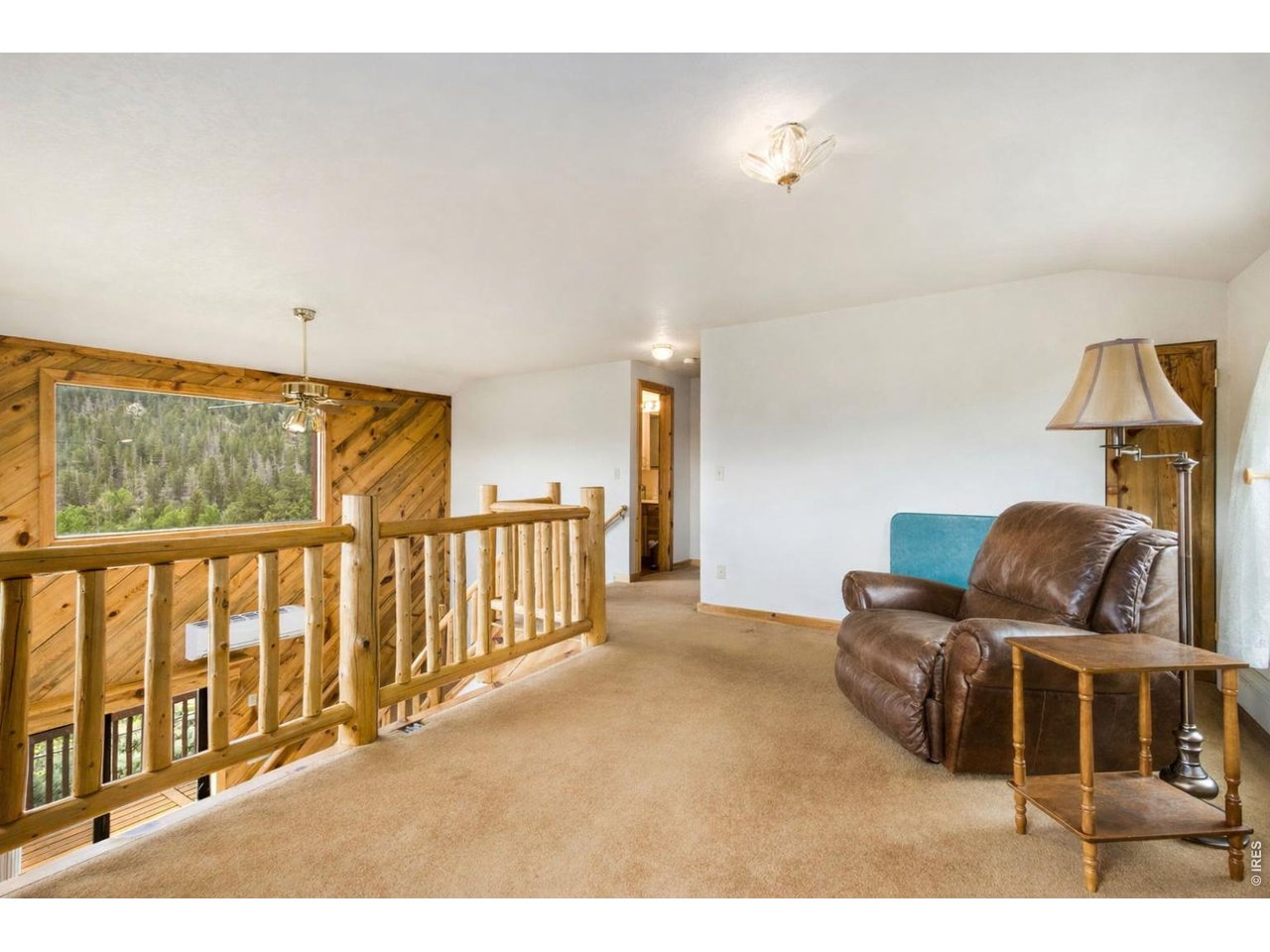 231 Modoc Court Red Feather Lakes, CO 80545 - Photo 13 of 41