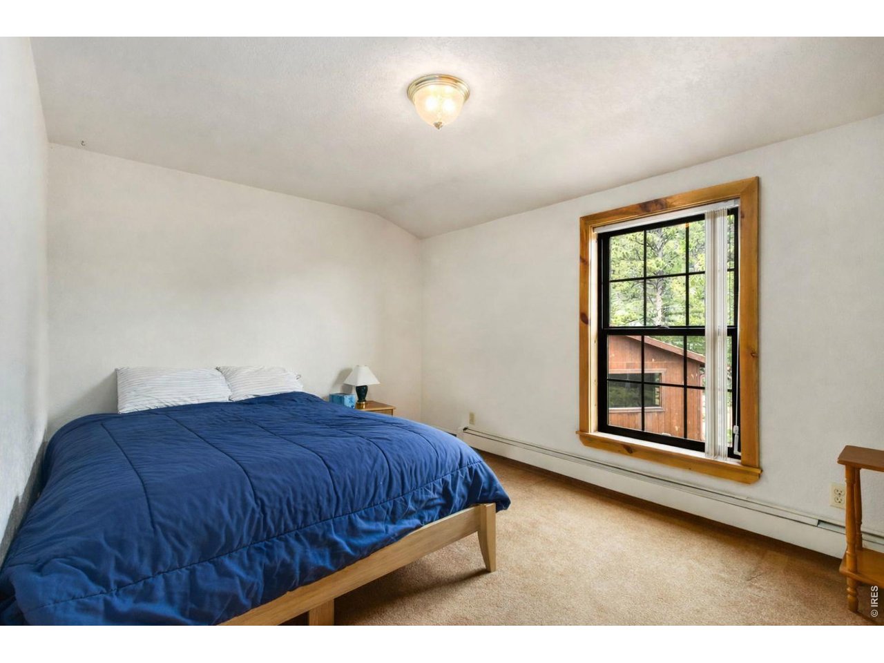 231 Modoc Court Red Feather Lakes, CO 80545 - Photo 17 of 41