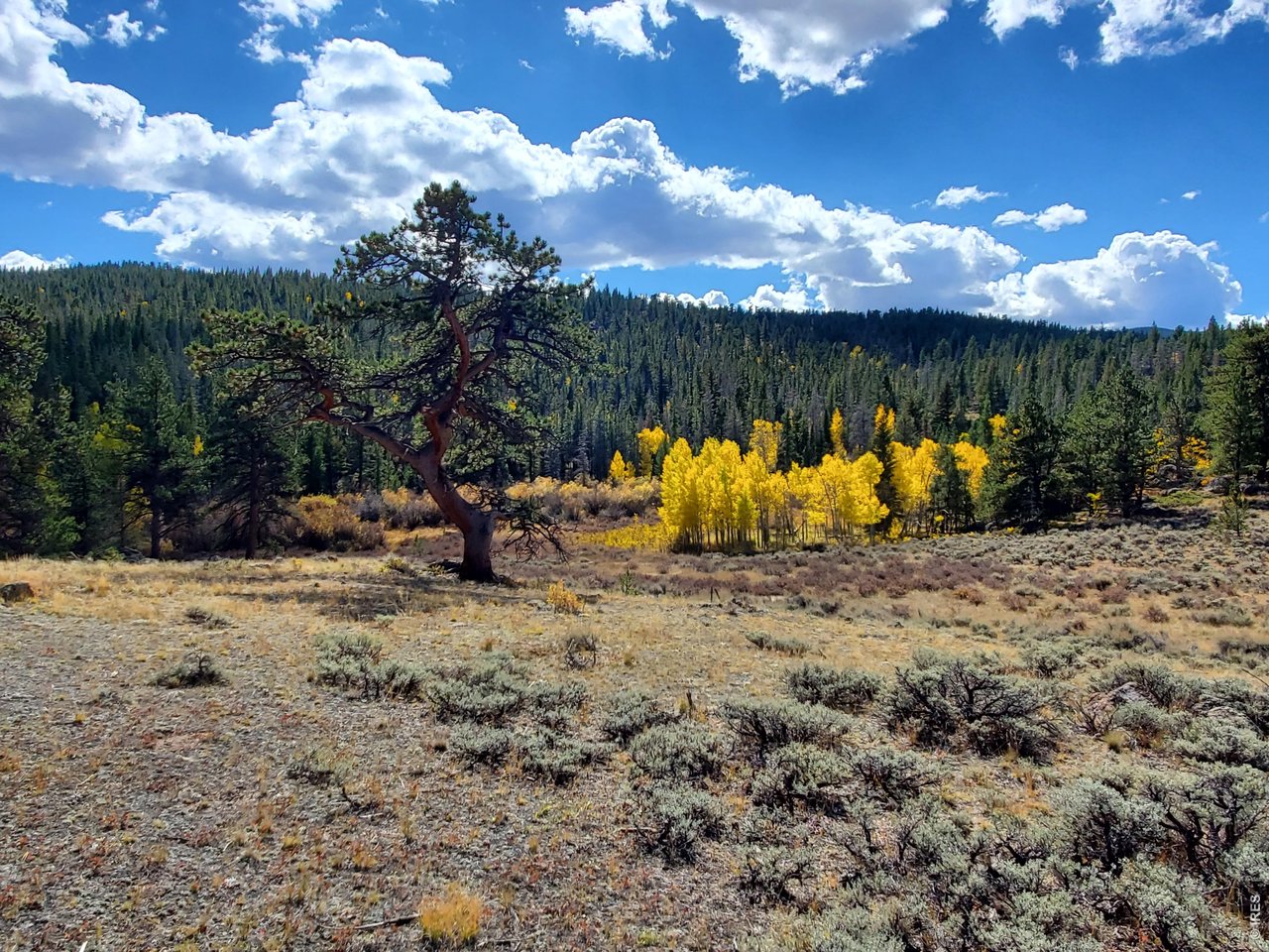 231 Modoc Court Red Feather Lakes, CO 80545 - Photo 2 of 41