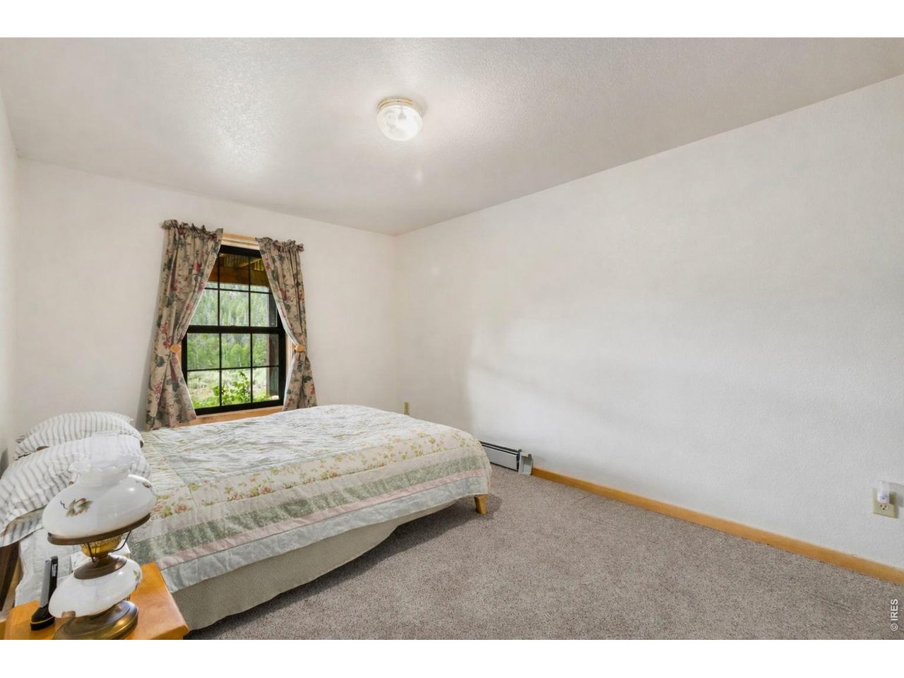 231 Modoc Court Red Feather Lakes, CO 80545 - Photo 21 of 41