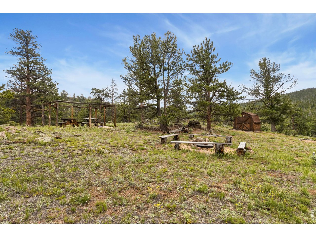 231 Modoc Court Red Feather Lakes, CO 80545 - Photo 38 of 41