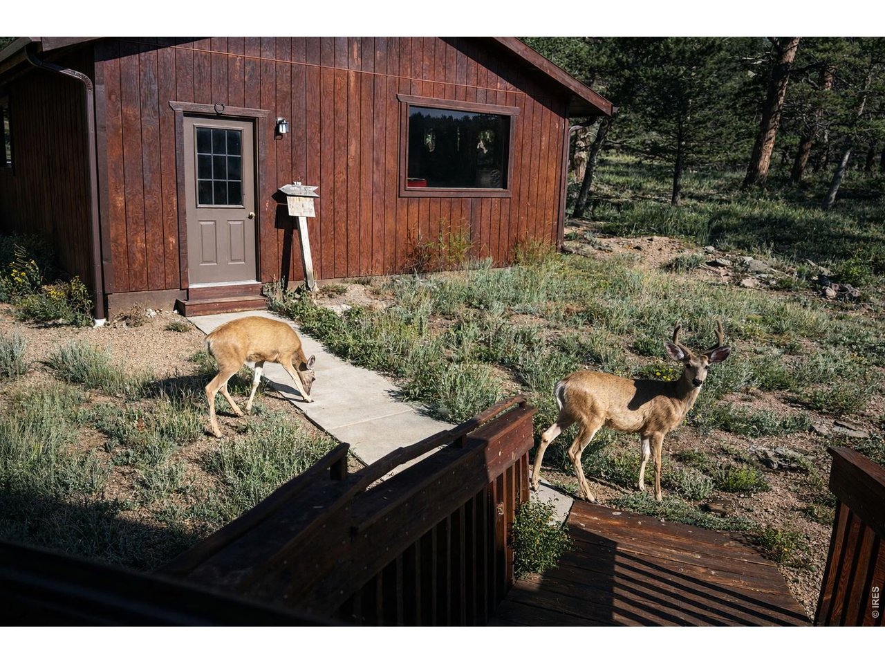 231 Modoc Court Red Feather Lakes, CO 80545 - Photo 41 of 41