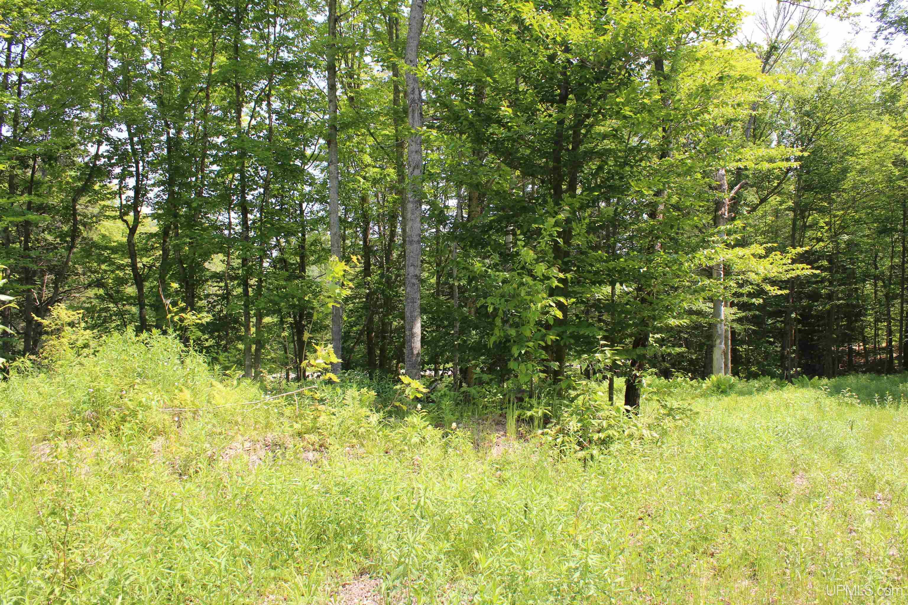 On East Shingleton Road Shingleton, MI 49884 - Photo 11 of 32