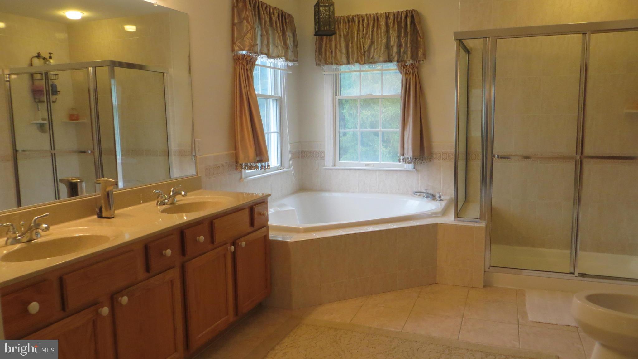1179 Old County Road Arnold, MD 21012 - Photo 19 of 29 Bath (Master)
