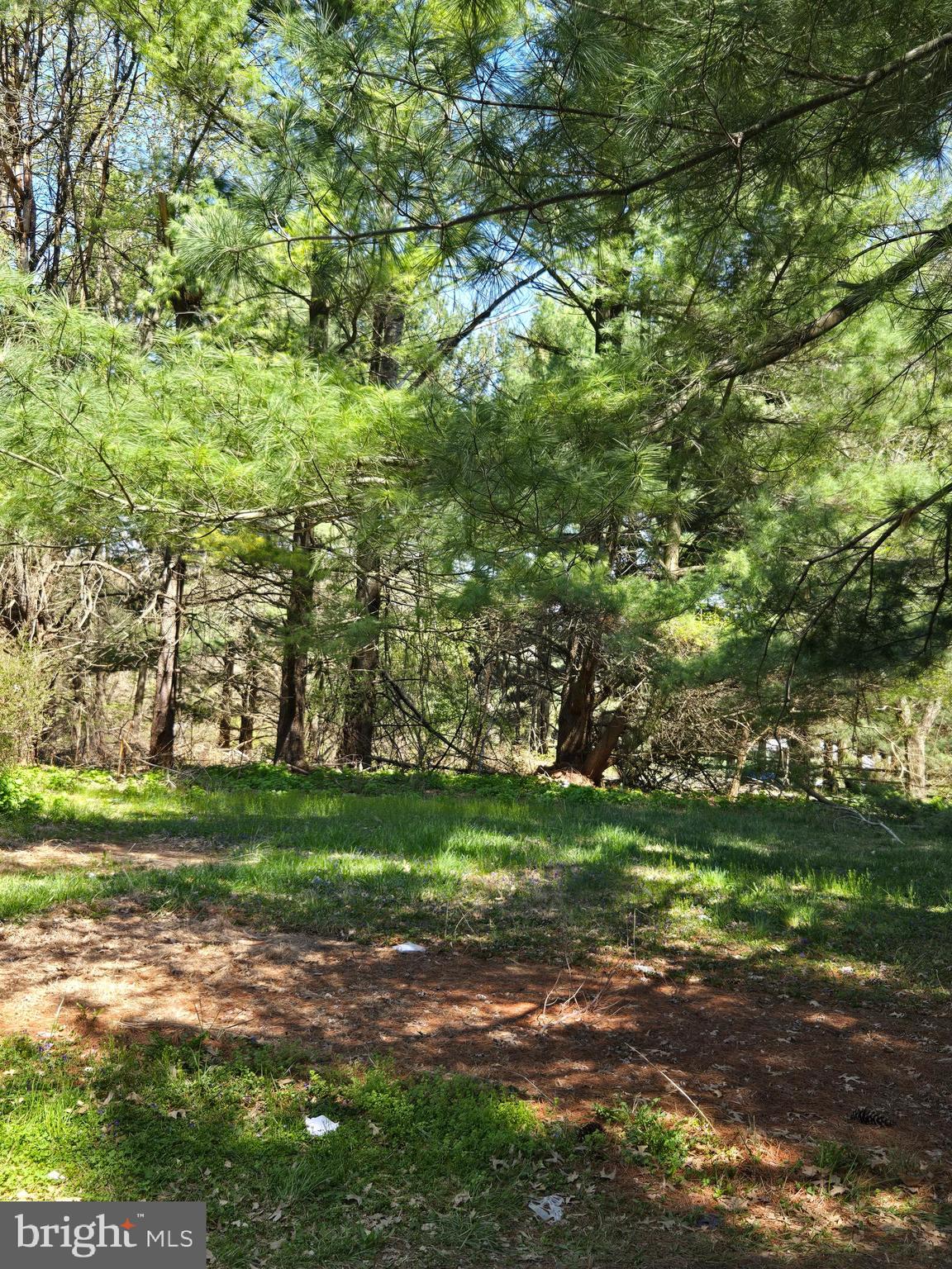 2480 Lewis Lane Finksburg, MD 21048 - Photo 7 of 7 a backyard of a house with lots of green space